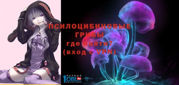 дурь Волосово