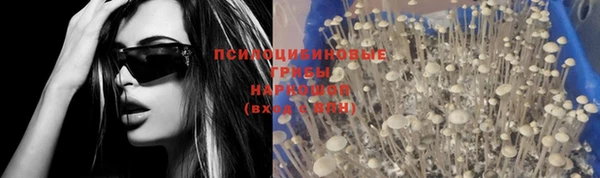 ALPHA-PVP Богородицк