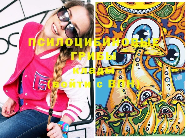 дурь Волосово