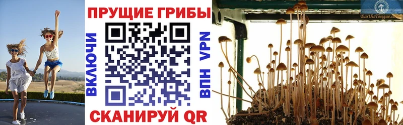Галлюциногенные грибы GOLDEN TEACHER  Вилюйск 
